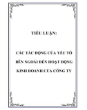 TIỂU LUẬN: CÁC TÁC ĐỘNG CỦA YẾU TỐ BÊN NGOÀI ĐẾN HOẠT ĐỘNG KINH DOANH CỦA CÔNG TY