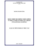 Luận án tiến sĩ Sinh lý thực vật: Hoàn thiện hệ thống nhân giống vi thủy canh cây hoa cúc trắng (Chrysanthemum morifolium)