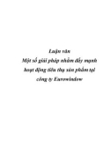 Luận văn Một số giải pháp nhằm đẩy mạnh hoạt động tiêu thụ sản phẩm tại công ty Eurowindow