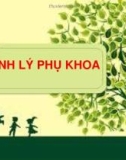 Bài giảng Sinh lý phụ khoa