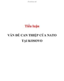 Tiểu luận: VẤN ĐỀ CAN THIỆP CỦA NATO TẠI KOSOVO