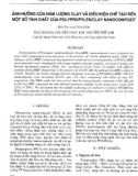 Báo cáo Ảnh hưởng của hàm lượng clay và điều kiện chế tạo đến một số tính chất của polyproplylen/clay nanocompozit 