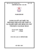 Tóm tắt Luận án Tiến sĩ Y học: Đánh giá kết quả điều trị phối hợp cisplatin liều thấp và xạ trị điều biến liều bệnh ung thư vòm họng giai đoạn IIB-III