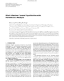 Báo cáo hóa học: Blind Adaptive Channel Equalization with Performance Analysis