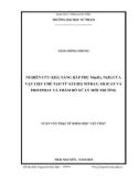 Luận văn Thạc sĩ Khoa học Vật chất: Nghiên cứu khả năng hấp phụ Mn(II), Ni(II) của vật liệu chế tạo từ sắt(III) nitrat, silicat và phophat và thăm dò xử lý môi trường