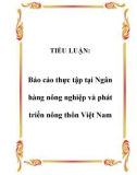 TIỂU LUẬN: Báo cáo thực tập tại Ngân hàng nông nghiệp và phát triển nông thôn Việt Nam