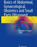 Ebook Basics of abdominal, gynaecological, obstetrics and small parts ultrasound: Part 1