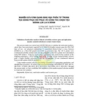 Báo cáo: Nghiên cứu ứng dụng sinh học phân tử trong tạo dòng phục hồi phục vô công tác chọn tạo giống lúa lai 3 dòng