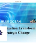 Tiểu luận: Organization Transformation Strategic Change