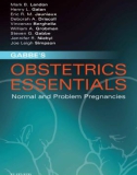 Ebook Gabbe's obstetrics essentials: Normal and problem pregnancies - Part 1