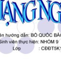 Báo cáo: Mạng nguồn