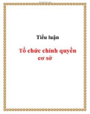 Tiểu luận: Tổ chức chính quyền cơ sở