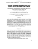 Báo cáo Đặc tính hình thái và nông học một số giống kê chân vịt (Eleusine coracana (L.) Gaertn.) thu thập từ phía Bắc Việt Nam và Nhật Bản