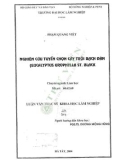 Luận văn Thạc sĩ Khoa học lâm nghiệp: Nghiên cứu ứng tuyển chọn cây trộ bạch đàn (Eucalyptus urophylla ST. Black)