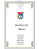 Báo cáo Dầu mỏ