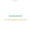 Bài giảng chuyên đề: Sản khoa - Các tổn thương cổ tử cung