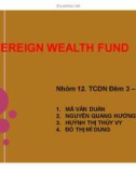 Thuyết trình: Sovereign wealth fund