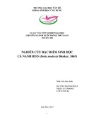 Luận văn nuôi trồng thủy sản: Nghiên cứu đặc điểm sinh học cá nanh heo (Botia Modesta Bleeker, 1865)