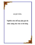 LUẬN VĂN: Nghiên cứu chế tạo phụ gia đa chức năng cho vữa và bê tông