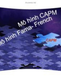 Thuyết trình: Mô hình CAPM - Mô hình Fama - French