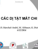 Bài giảng Các dị tật mất chi