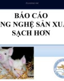 Báo cáo công nghệ sản xuất sạch hơn: Cơ hội thực hiện sản xuất sạch hơn trong giết mổ gia súc