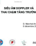 Bài giảng Siêu âm Doppler và thai chậm tăng trưởng