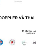 Bài giảng Doppler và thai kỳ