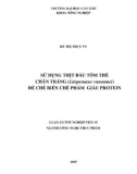 Luận án tiến sĩ Công nghệ thực phẩm: Sử dụng thịt đầu tôm thẻ chân trắng (Litopenaeus vannamei) để chế biến chế phẩm giàu protein