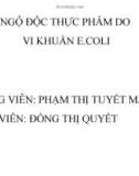 NGỘ ĐỘC THỰC PHẨM DO VI KHUẨN E.COLI