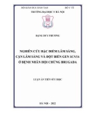 Luận án Tiến sĩ Y học: Nghiên cứu đặc điểm lâm sàng, cận lâm sàng và đột biến gen SCN5A ở bệnh nhân hội chứng Brugada