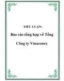 TIỂU LUẬN: Báo cáo tổng hợp về Tổng Công ty Vinaconex