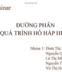 Thuyết trình: Đường phân và quá trình hô hấp hiếu khí