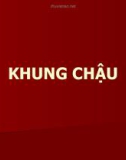 Bài giảng Khung chậu