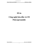 Đồ án: Công nghệ hóa dầu và chế biến Polycaproamide