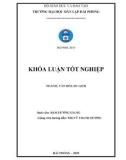 Khóa luận tốt nghiệp Văn hóa du lịch: Tìm hiểu khả năng khai thác và phát triển một số tuyến du lịch phục vụ du lịch Trekking tại Sa Pa