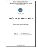 Luận văn: Một số biện pháp nhằm nâng cao năng lực cạnh tranh tại công ty TNHH MTV thương mại dịch vụ xuất nhập khẩu Hải Phòng