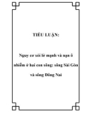 TIỂU LUẬN: Nguy cơ xói lở mạnh và nạn ô nhiễm ở hai con sông: sông Sài Gòn và sông Đông Nai