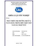 Khóa luận tốt nghiệp: Phát triển thị trường dịch vụ ngân hàng trong điều kiện Việt Nam gia nhập WTO