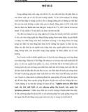 Đồ án tốt nghiệp: Nghiên cứu các điều kiện nuôi cấy thu sinh khối và các phương pháp thu hoạch, bảo quản tảo Spirulina platensis