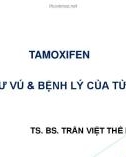 Bài giảng Tamoxifen ung thư vú và bệnh lý của tử cung - TS. BS. Trần Việt Thế Phương