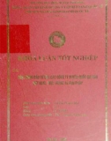 Khóa luận tốt nghiệp: Hoạt động đầu tư của các công ty xuyên quốc gia và Việt Nam. Thực trạng và giải pháp