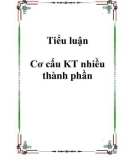 Tiểu luận Cơ cấu KT nhiều thành phần