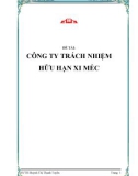 ĐỀ TÀI: XỬ LÝ NƯỚC THẢI CÔNG TY TRÁCH NHIỆM HỮU HẠN XI MÉC 