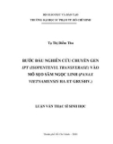 Luận văn Thạc sĩ Sinh học: Bước đầu nghiên cứu chuyển gen ipt (isopentenyl transferase) vào mô sẹo sâm Ngọc Linh (Panax vietnamensis Ha et Grushv.)