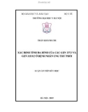 Luận án tiến sĩ Y học: Xác định tính đa hình của các gen TP53 và gen MDM2 ở bệnh nhân ung thư phổi