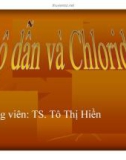 Báo cáo: Độ dẫn và Chloride