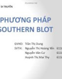 Thuyết trình Kỹ thuật di truyển: Phương pháp Southern blot