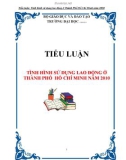 TIỂU LUẬN: TÌNH HÌNH SỬ DỤNG LAO ĐỘNG Ở THÀNH PHỐ HỒ CHÍ MINH NĂM 2010