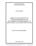 Luận văn Thạc sĩ Hoá học: Nghiên cứu điều chế sét hữu cơ từ bentonit (Bình Thuận) với butyltriphenyl photphoni bromua và khảo sát khả năng hấp phụ metylen xanh